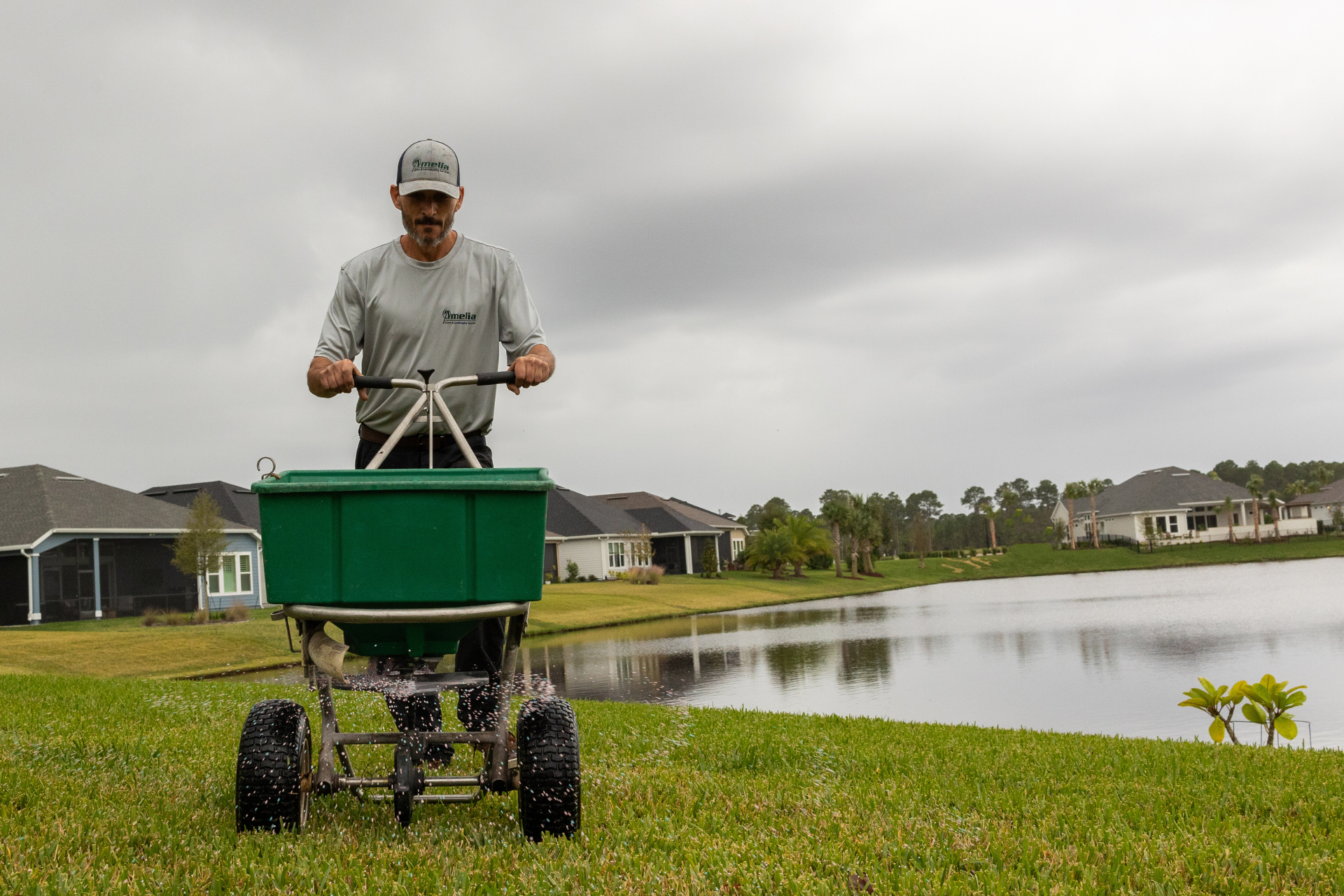 Lawn Fertilization & Weed Control Services