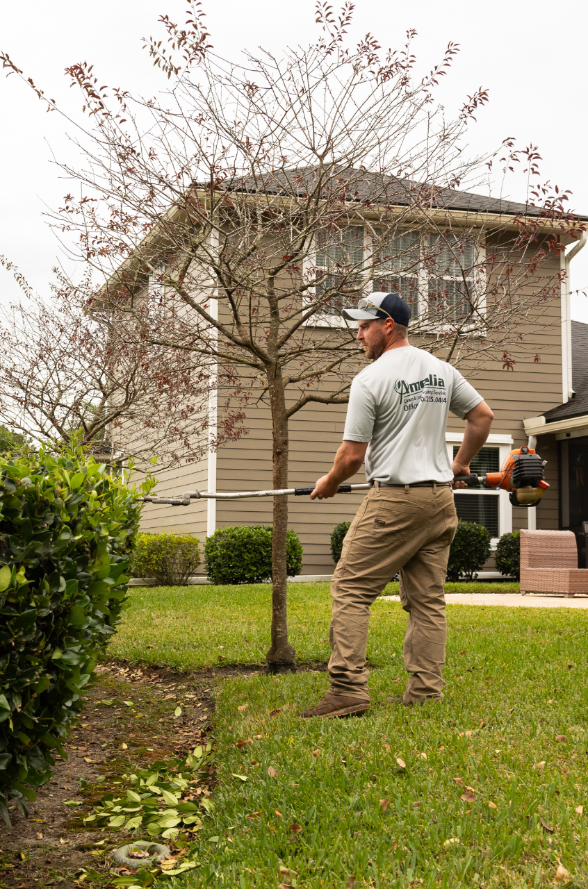 Landscape Maintenance