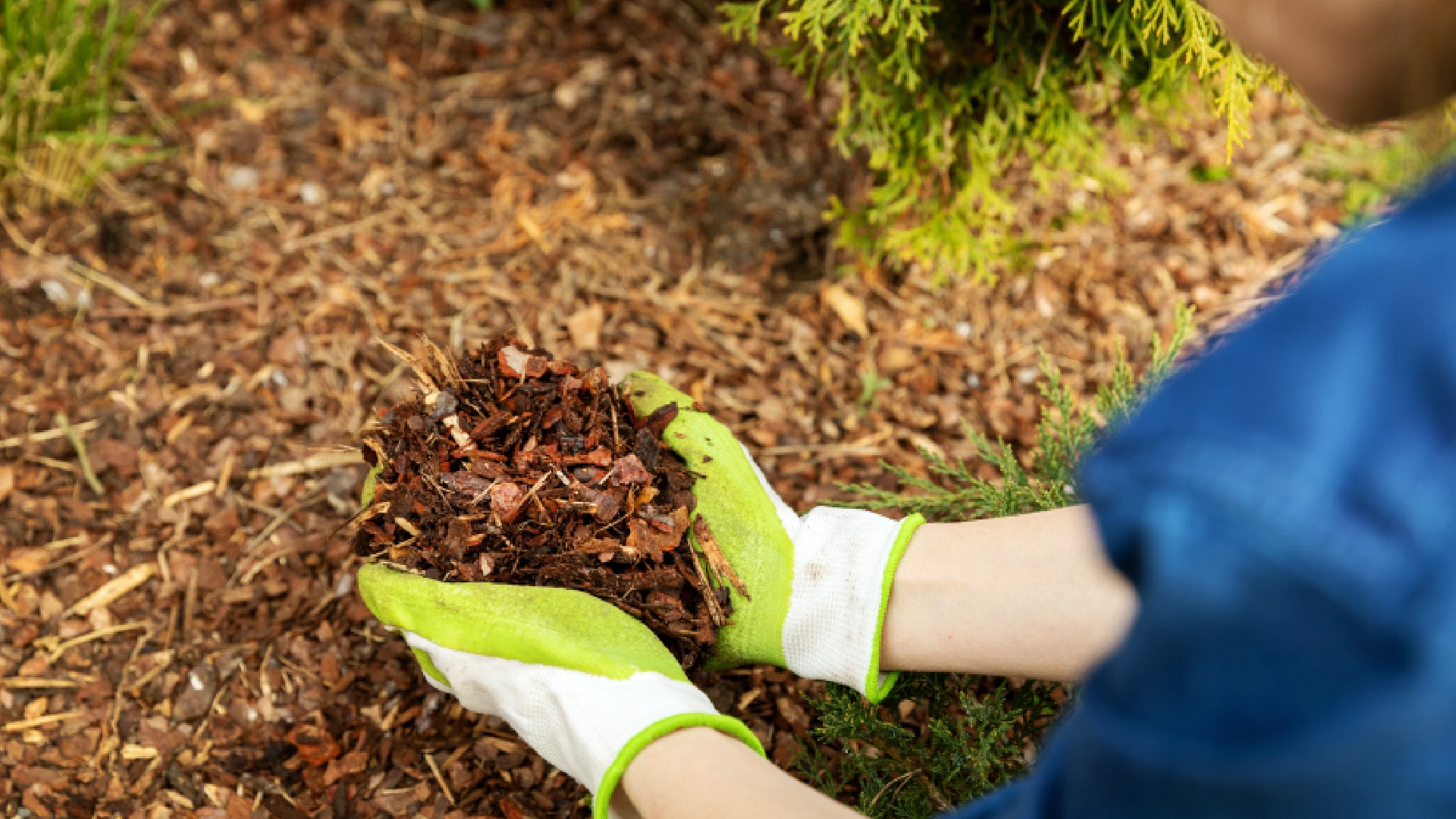 trusted professional mulching contractor in Northeast Florida