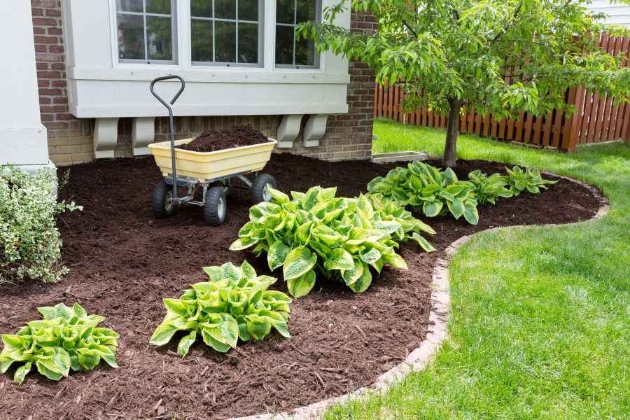 Professional Mulching: Enhancing Curb Appeal and Plant Health professional mulching in Northeast Florida