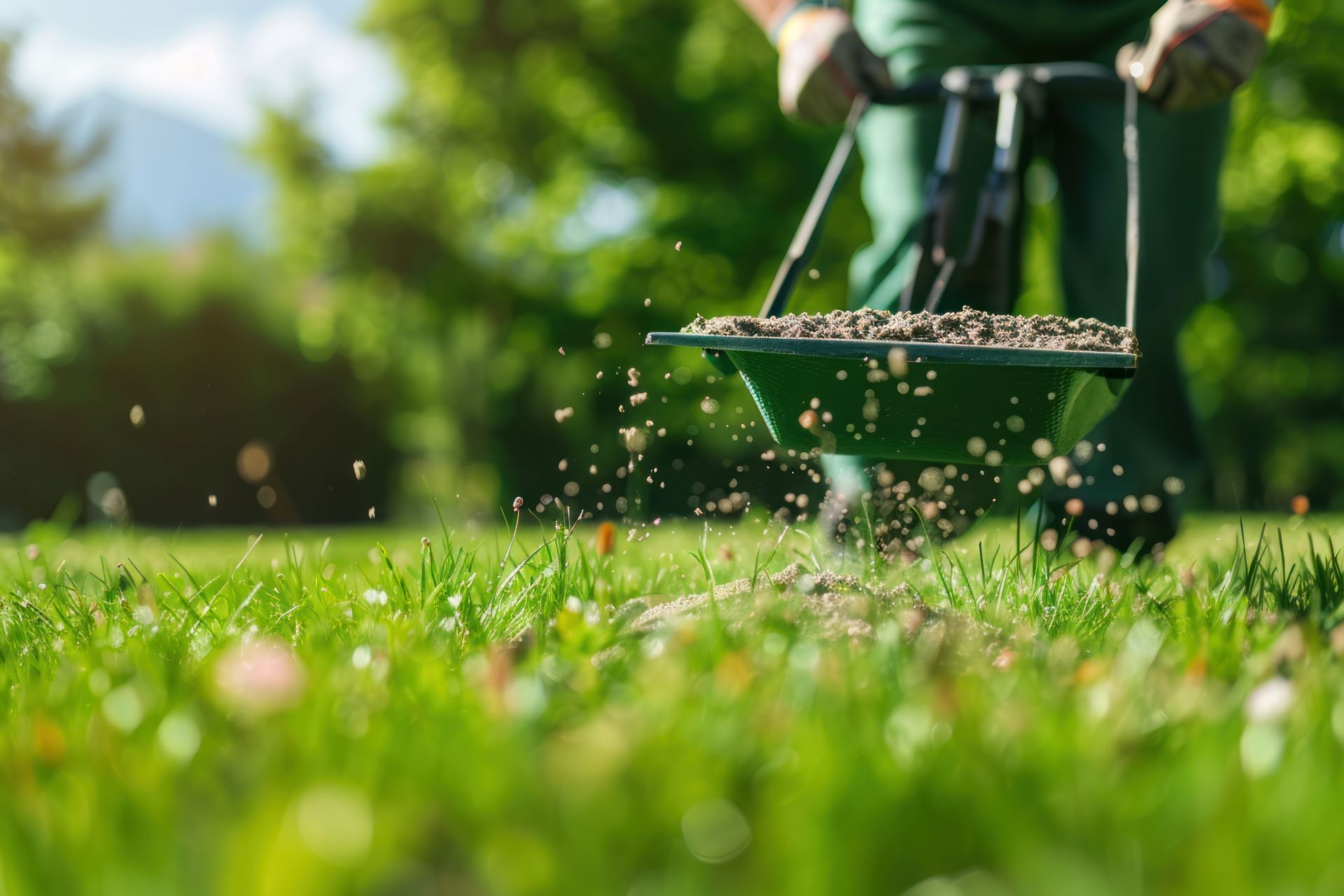 seasonal lawn fertilization timing in Yulee, FL