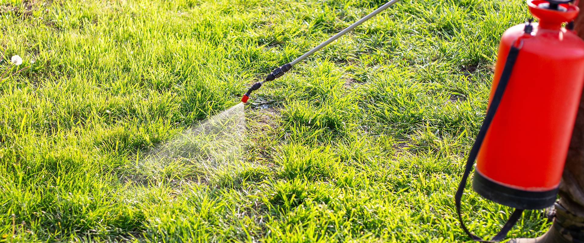 professional lawn aeration in fernandina beach florida