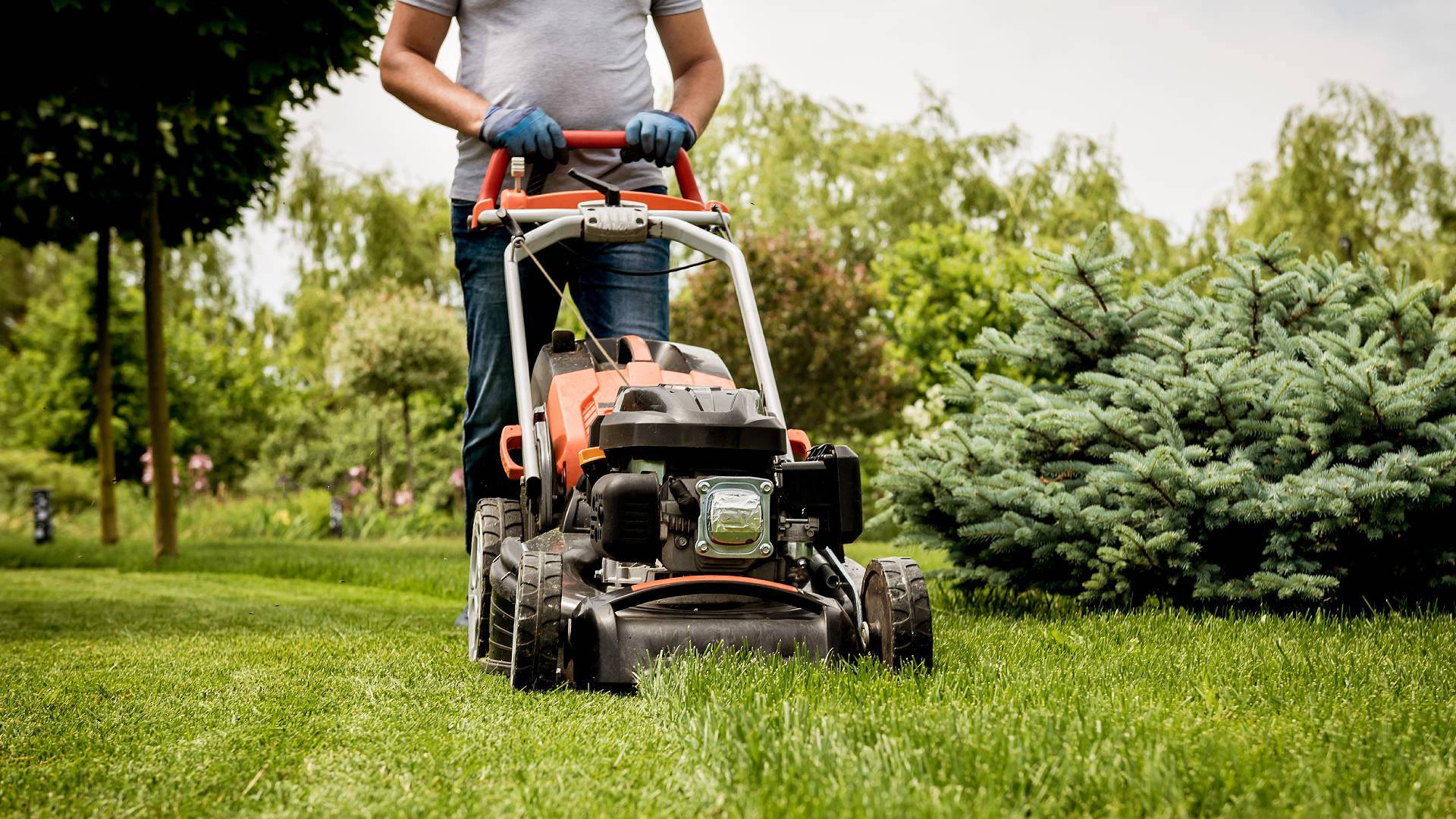 Seasonal Lawn Mowing Heights: Maximizing Health and Appearance professional lawn care services in Florida