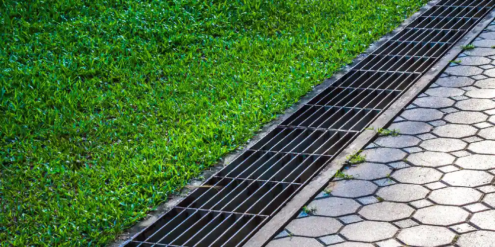 Fall Drainage & Soil Prep: How to Protect Your Northeast Florida Landscape for Winter drainage and soil prep for northeast florida properties