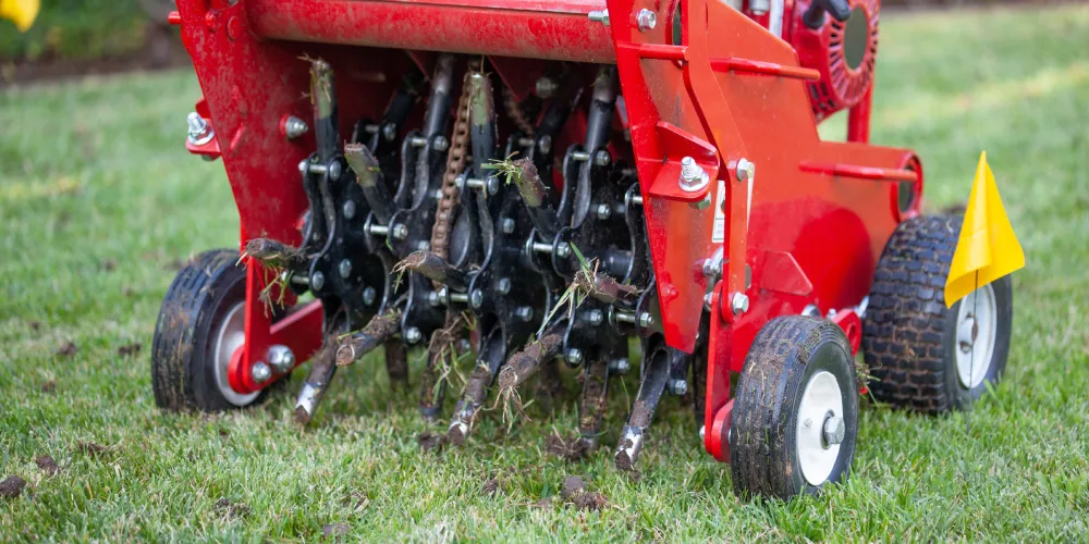 lawn preparation using aeration and overseeding fl