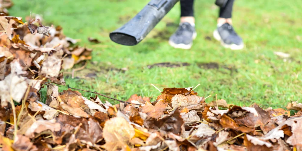 6 Tips to Maximize Your Fall Yard Clean Up: Leaf Removal & Debris Clearing Strategies leaf removal debris clearing yulee florida