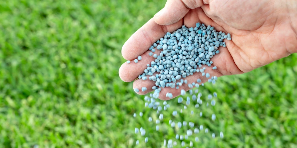 lawn fertilization for winter prep yulee fl