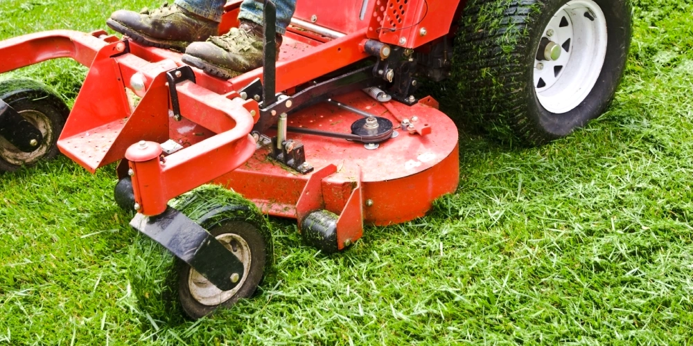 lawn care landscaping guide ponte vedra beach fl