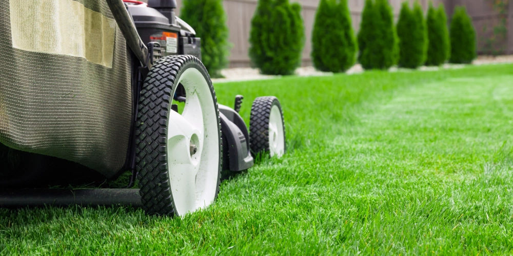 lawn mowing services fernandina beach yulee fl