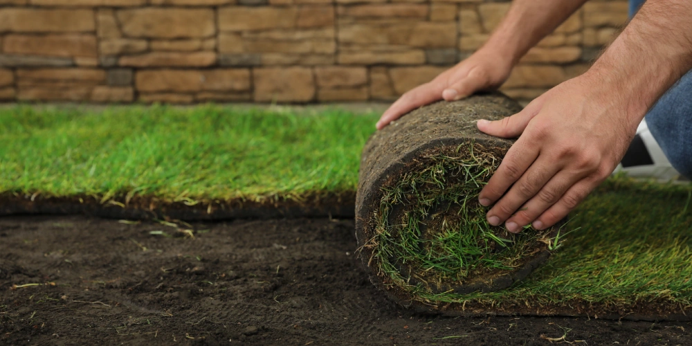 sod installation yulee fernandina beach fl
